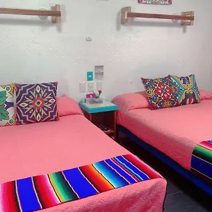 https://beautiful-cozy-space-in-akumal-paradise-wifi-ac.allrivieramayahotels.com