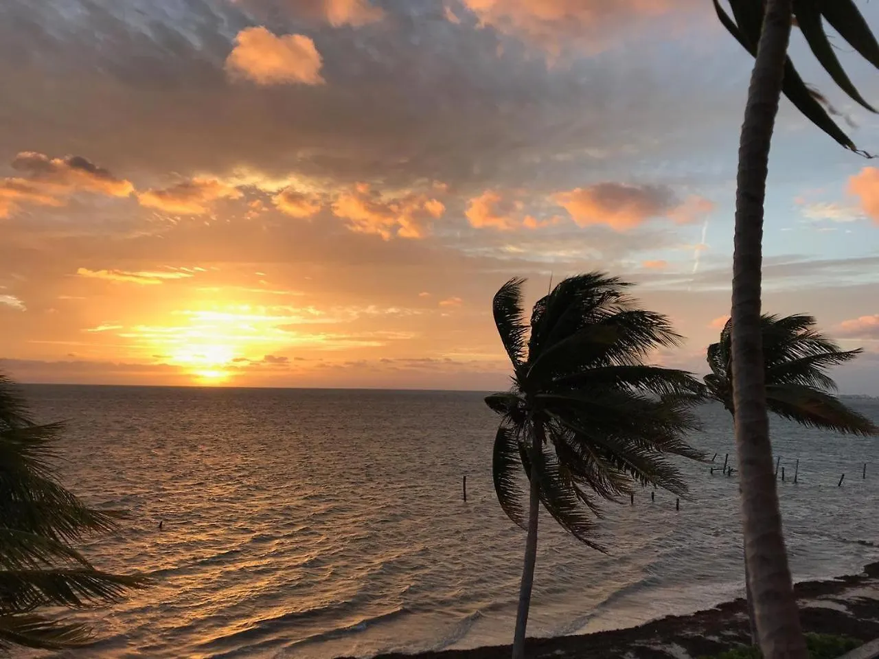 Flamingo Paradise Front By Cielo Maya Cancun