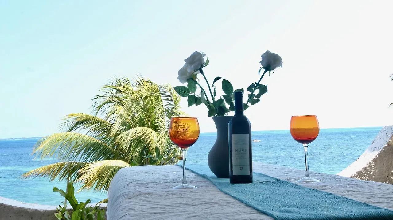 Flamingo Paradise Front By Cielo Maya Cancun Apartment